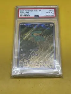 燕*ク様 ラクライ　AR PSA10