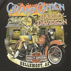 Harley-Davidson Grand Canyon pinup girl