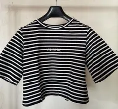 NOLLEY'S ノーリーズ　ストライプ　ショート丈　半袖Tシャツのサムネイル