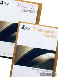 Item thumbnail for item 5bbf2f0f-9faf-4942-a2ba-c75b2f72f20e