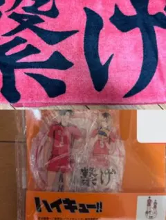 Item thumbnail for item 30664f69-5a46-40cf-a301-7a4a10b81d74