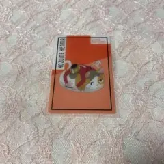 ちえ様 リクエスト 2点 まとめ商品