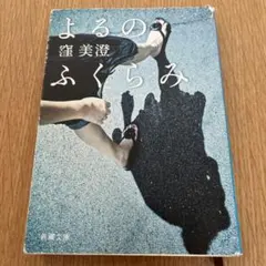 Item thumbnail for item 76f30cd4-e5f5-4d67-85d4-9a65ee16b5e3