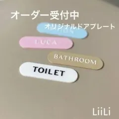 Item thumbnail for item 9146e300-7b20-46d0-ac9e-d000ec26e3e7