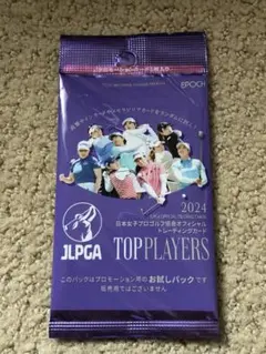 Item thumbnail for item 6f900ee0-0691-4e42-97ed-e64eaf16e3da