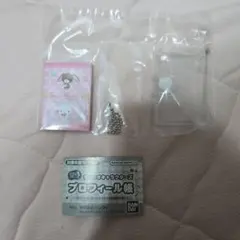 サンリオ　プロフィール帳　シュガーバニーズ