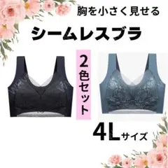 胸を小さく見せるブラ 2枚 シームレス ノンワイヤー 4L ブルー ブラック