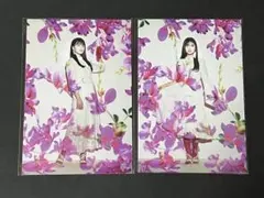 乃木坂46 大園桃子 寺田蘭世 ポストカード フォーシーズンズ 2枚セット