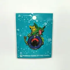 限定　ポケモンセンター　ロゴピンズ　10点セト　トーキョーベイ　スカイツリー ポケモンセンター ロゴピンズ 東京DX スカイツリータウン 2個セット