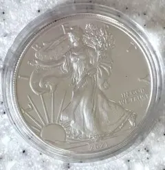 希少・限定品】Una & The Lion 銀貨 2023年 2oz純銀コイン - メルカリ