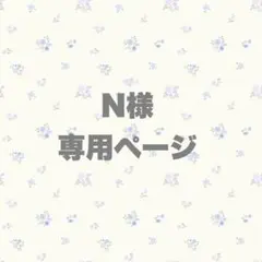 N様 専用ページ