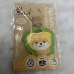 Item thumbnail for item 74f90c55-f58c-43fb-a6c9-75b6ea5e1092