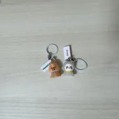 StrayKids skzoo　めじるしアクセサリー