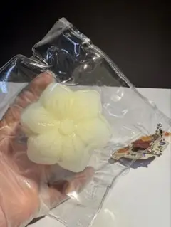 桜　黄色　海外スクイーズ