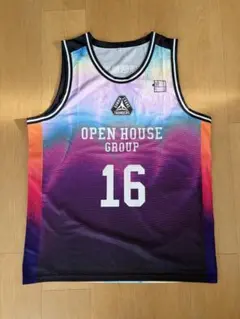 群馬クレインサンダーズユニホーム #1 コー・フィリッピン選手