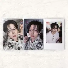 StrayKids スキズ SKZOO シーグリ 2026 トレカ ポラ リノ