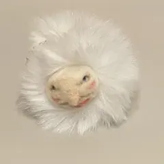 羊毛フェルト ハンドメイド キモカワオジサンシリーズ ホワイト - メルカリ