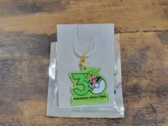 ポケモン 30周年 ロゴマスコット2 ハリマロン