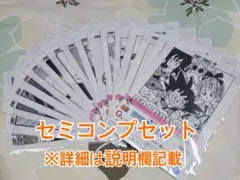 一番くじ ドラゴンボール G賞 クリアファイルセット セミコンプリートセット