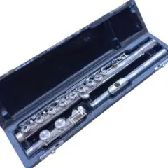 Item thumbnail for item d4729662-d0b8-4580-92bd-4e59e604d1f6