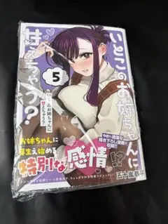 2026年最新】いとこのお姉ちゃんに甘えちゃうの人気アイテム - メルカリ