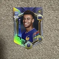 Item thumbnail for item f217c2d7-8c08-42f6-8634-4278fb2bfcea