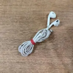 正規品 iPhone Apple ライトニングイヤホン 有線