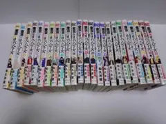 翔んだカップル 全15巻＋新 全4巻　全7巻 計26冊 柳沢きみお 全巻セット 翔んだカップル 全15巻＋新 全4巻 全7巻 計26冊 柳沢きみお 全巻セット
