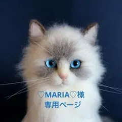 ♡MARIA♡様の専用ページ