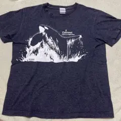 2025年最新】KUZIRAの人気アイテム - メルカリ