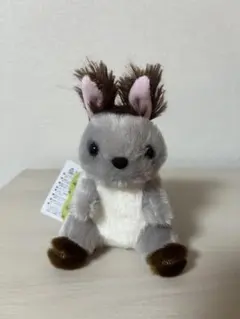 くったりエゾリス　LMC ライトグレー