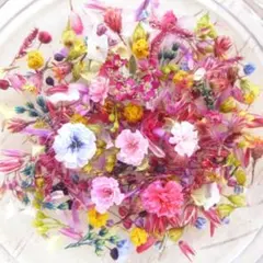 にゃーにゃ（プロフ必読）様 リクエスト 3点 まとめ商品