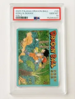 イタジャガ cr PSA10 4-28 イタジャガ cr PSA10 4-28 - メルカリ