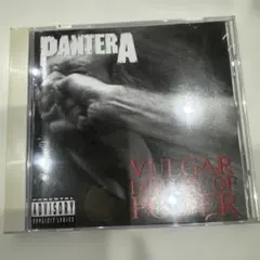 CD】Pantera / 国内盤 ライヴ〜狂獣 - メルカリ