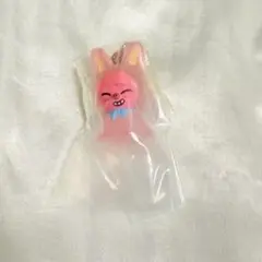 SKZOO トゥエッキ チャンビン めじるしアクセサリー