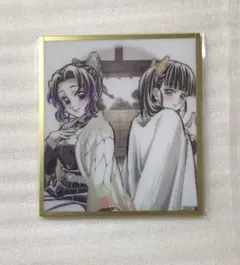 鬼滅の刃 WEBSHOPくじ アクリル色紙 胡蝶しのぶ 栗花落カナヲ - メルカリ
