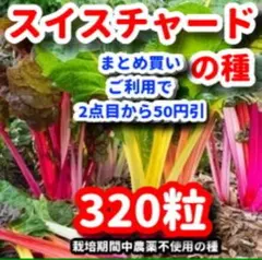 スイスチャードの種 【320粒】⭕️のサムネイル