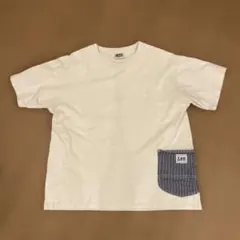 ストライプ Tシャツ