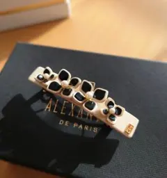 2026年最新】アレクサンドルドゥパリ バレッタ パールの人気アイテム