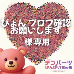 ぴょん プロフ確認お願いします 様 専用ページ - メルカリ