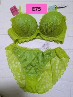 E75⭐️グリーン⭐️緑のレース⭐️ブラジャーとショーツのセット❤