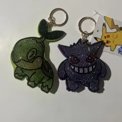 ポケモン ポケットモンスター キラキラ キーホルダー