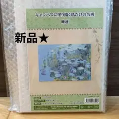 【新品】絵画制作キット「睡蓮」キャンバスに塗り描く私だけの名画