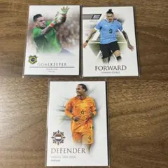 サッカートレーディングカードセット