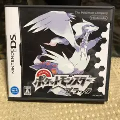 ポケットモンスター ブラック (DS)