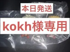 kokh様専用