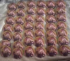 巡音ルカ 缶バッジ42個セット 39culture World