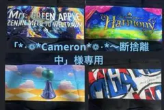 「*⋆❁*Cameron*❁⋆*～断捨離中」様専用