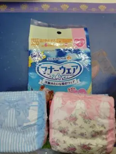 Item thumbnail for item 471a2763-9f2b-488b-9e0a-9f4d30610517