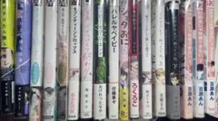 BL漫画 ボーイズラブ まとめ売り24冊＋小冊子5冊